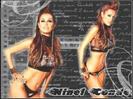 ninelbanner19gg