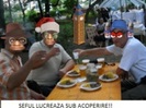 MAI STA OMUL SI MUNCESTE