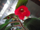 DSCF5326
