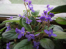 DSCF5328