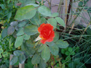 P1010090