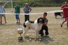 Labus de Hancu BIS Filipesti 2011