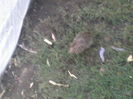 P20-09-11_18.54[3]