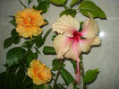 DSC00373