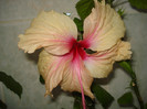 DSC00369