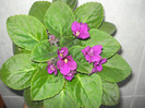 DSC00357