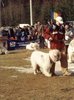 Amza de Romania-obelix RPJ azuga 2000