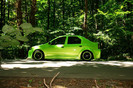 tuning-logan-pissisica-verde-lamborghini-by-sorin-76e3cd5baba87203f-920-0-1-95-0[1]