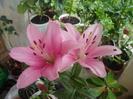 images (2)