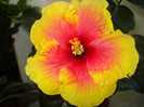DSC00404