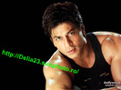 shahrukh_khan_002_1024x768_xonk