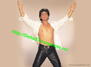 shahrukh_khan_dil_to_pagal_hai_01