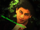 shahrukh_khan_wallpapers_036