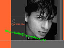 shahrukh_khan_wallpapers_054