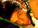 shahrukh_khan_wallpapers_072