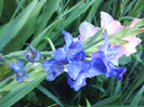 DSC06964