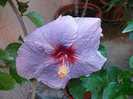 P1100241