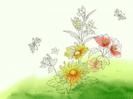 Desene cu Flori Flowers Wallpapers Poze Florale