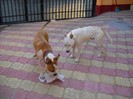 DSCN0206