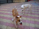 DSCN0207