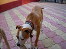 DSCN0215