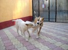 DSCN0216