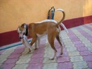 DSCN0218
