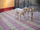 DSCN0219