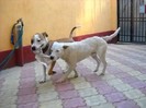 DSCN0220