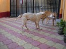 DSCN0222