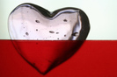 y love you