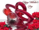 y love you