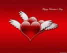 y love you
