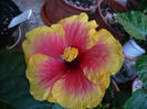 P1100250