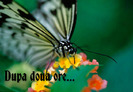 Dupa doua ore...