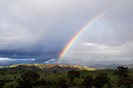 Rainbow_-_swifts_creek