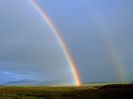 tundra-rainbow-sartore_1534_600x450