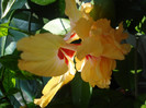 DSC00426