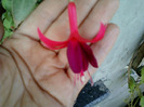 my pictures- 26 sept 2011 032