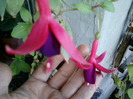 my pictures- 26 sept 2011 056