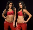 nikki-and-brie-bella-wwe-studio-9-300x271