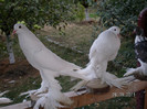 SANY0108