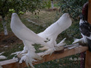 SANY0109
