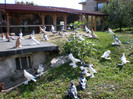 SANY0094