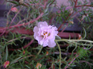 DSC08157