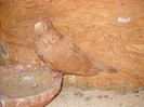 DSCN1312
