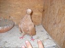 DSCN1314