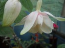 DSCN2031