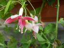 DSCN2033