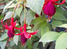 DSCN2051